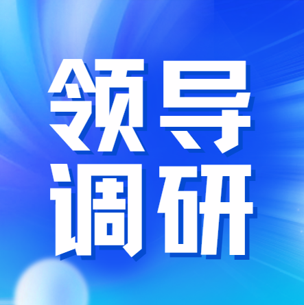 黨建業(yè)務(wù)深融合 調(diào)研指導(dǎo)促提升  —— 亳州市委社會工作部領(lǐng)導(dǎo)蒞臨我司調(diào)研指導(dǎo)